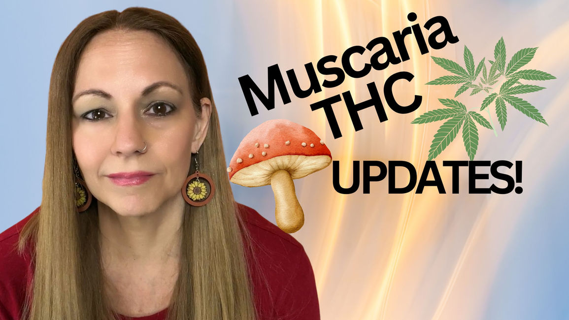 Muscaria and THC Update 8/23